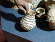 Музей Трипільської культури