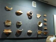 Музей Трипільської культури