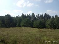 Тростянець - Останні фото