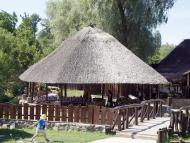 ДИКИЙ ХУТІР