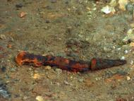 Археологи розкопали унікальні артефакти на По