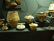 Музей Трипільської культури