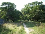 Палац Курісів