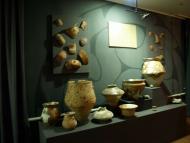 Музей Трипільської культури