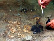 Археологи розкопали унікальні артефакти на По