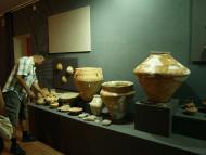 Музей Трипільської культури