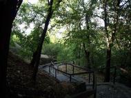 ЗАМКОВА ГОРА