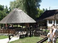 ДИКИЙ ХУТІР