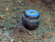 Археологи розкопали унікальні артефакти на По