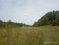 База відпочинку 'Фаворит і Д.'