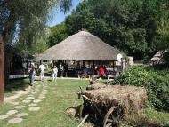 ДИКИЙ ХУТІР