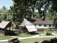 ДИКИЙ ХУТІР