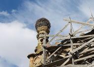 Палац Курісів