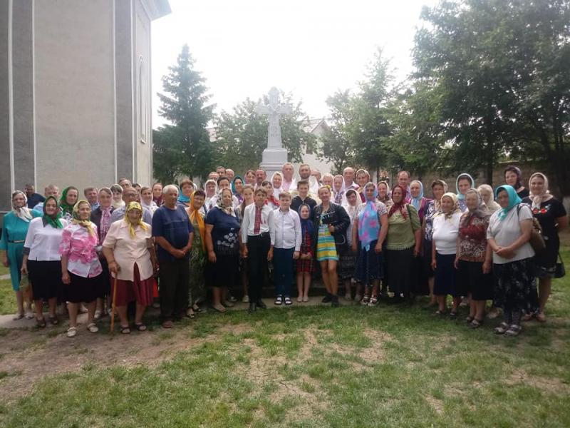 Товтри - Товтры