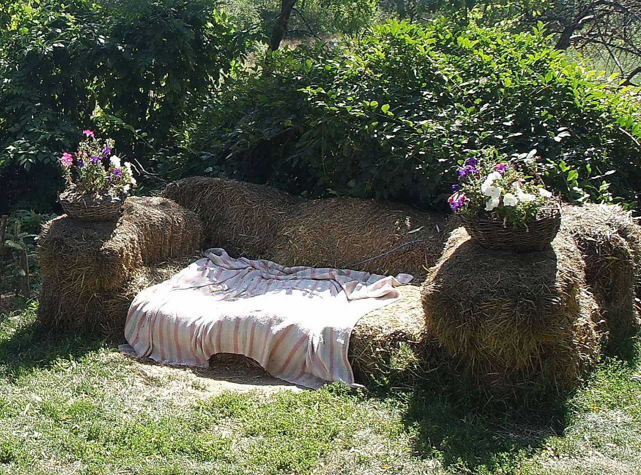 ДИКИЙ ХУТІР - Буда