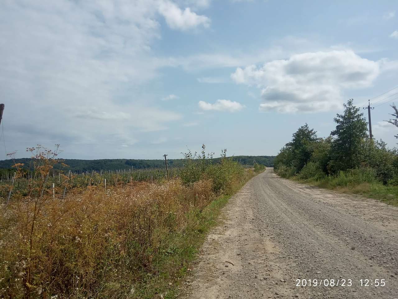 Краєвид - Илов