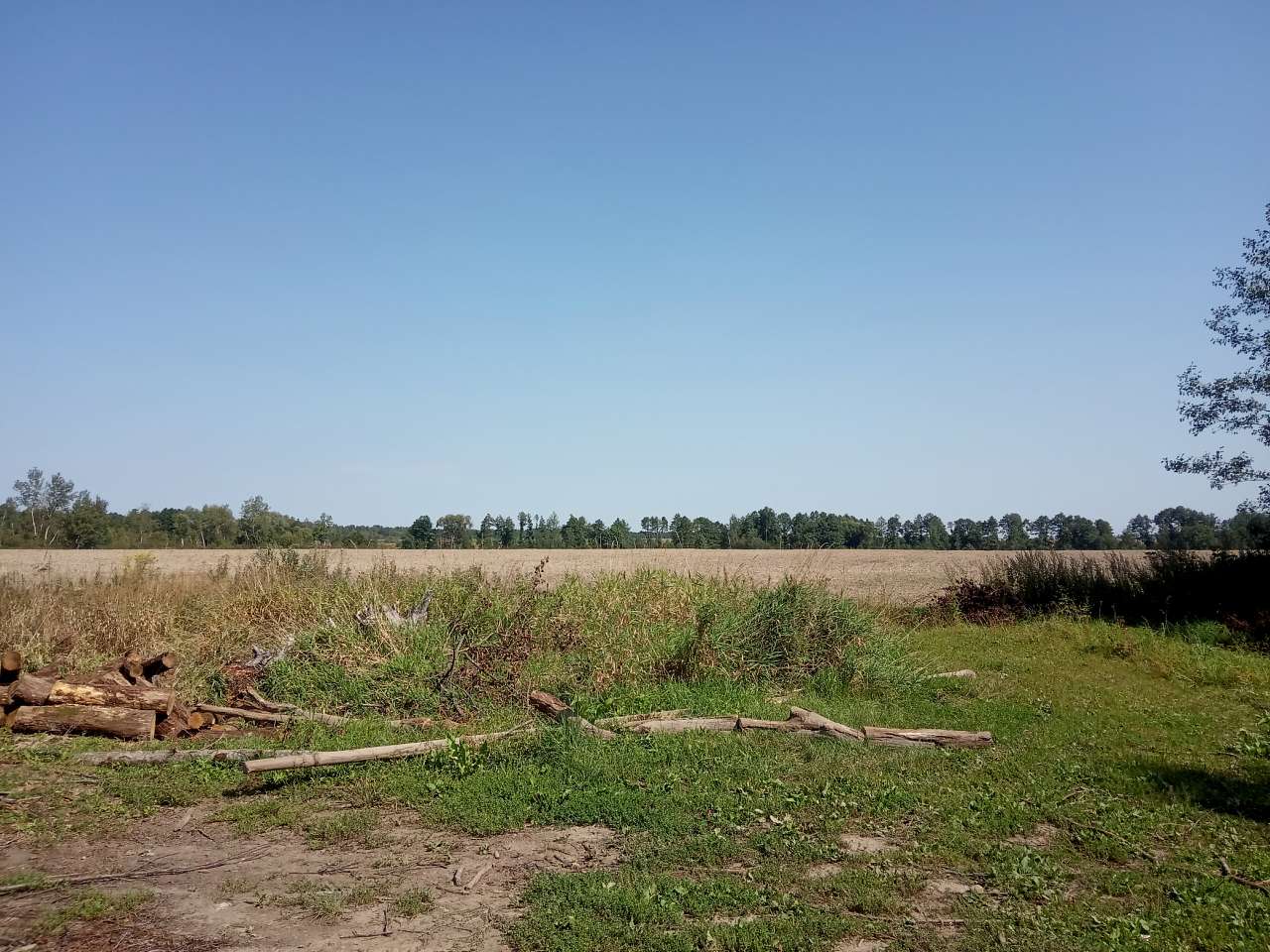 Краєвид - Пила