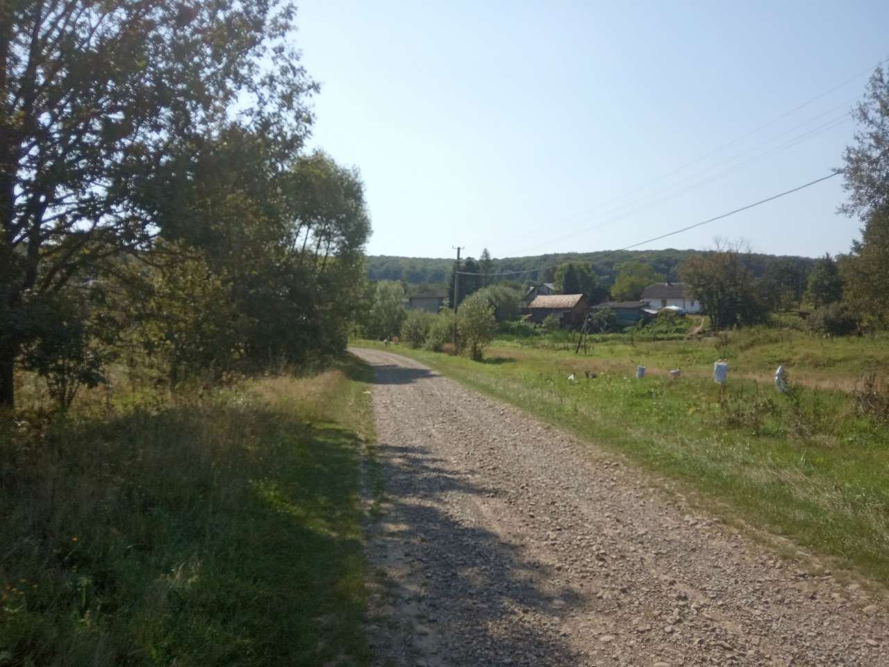 Краєвид - Пила