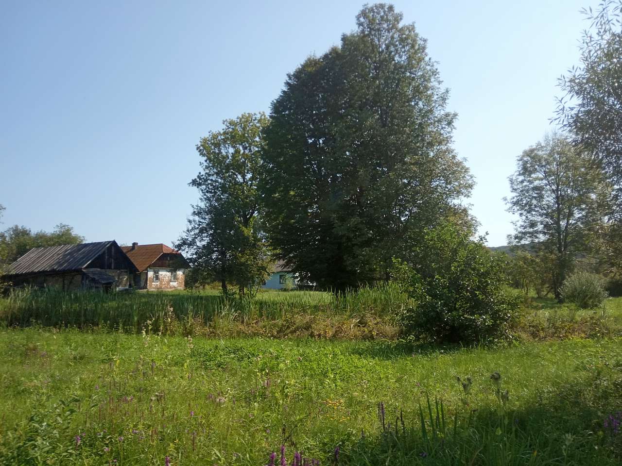 Краєвид - Пила