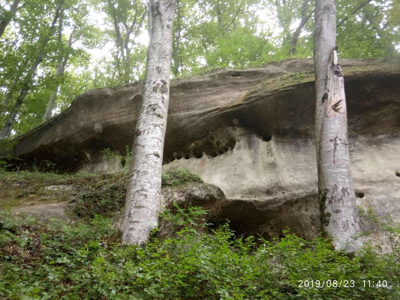 Ліс. Скелі - Велика Воля