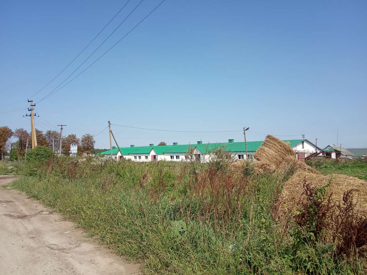 Ферма - Фалиш