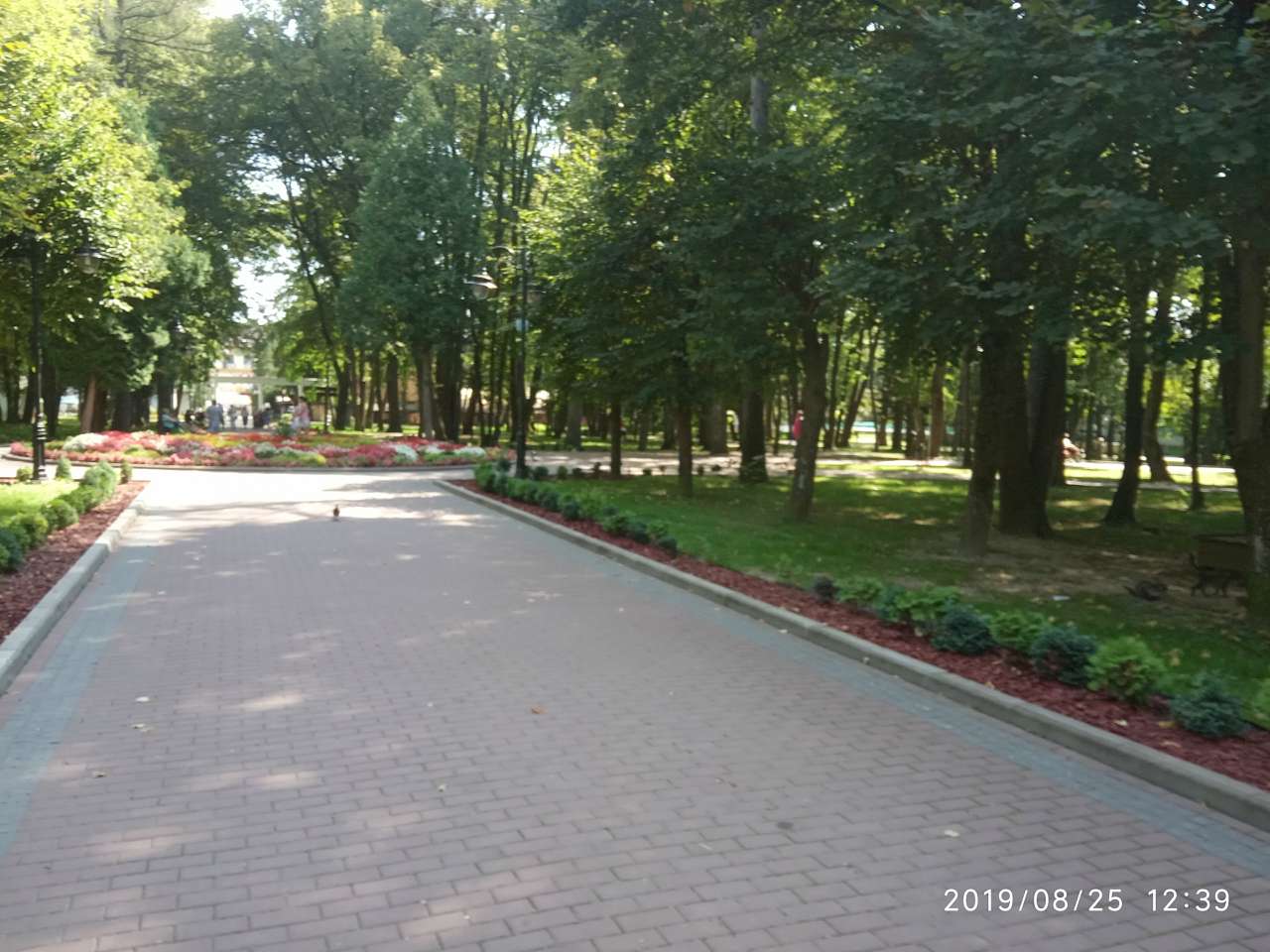 Парки - Morshyn