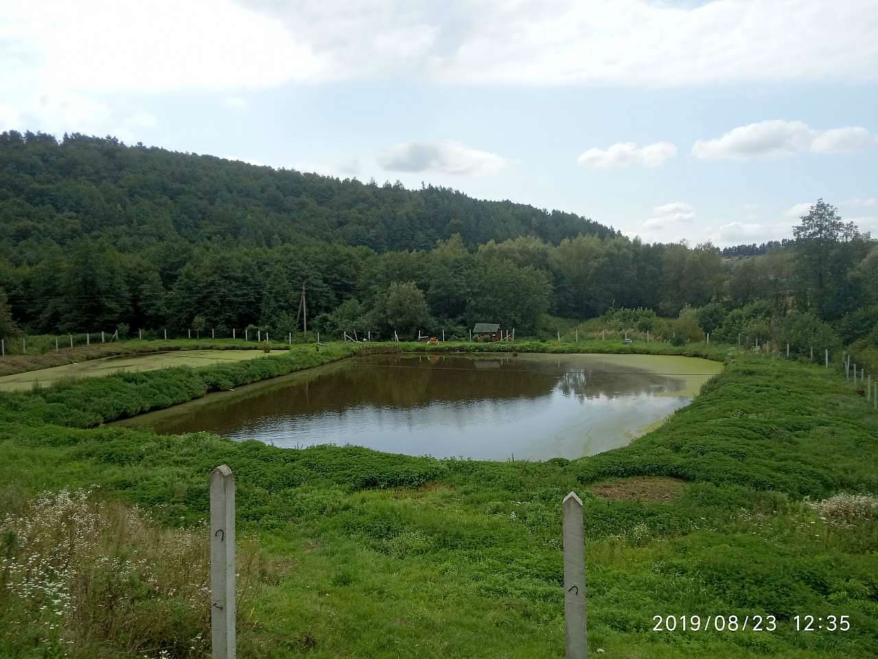 Ставки - Стільсько