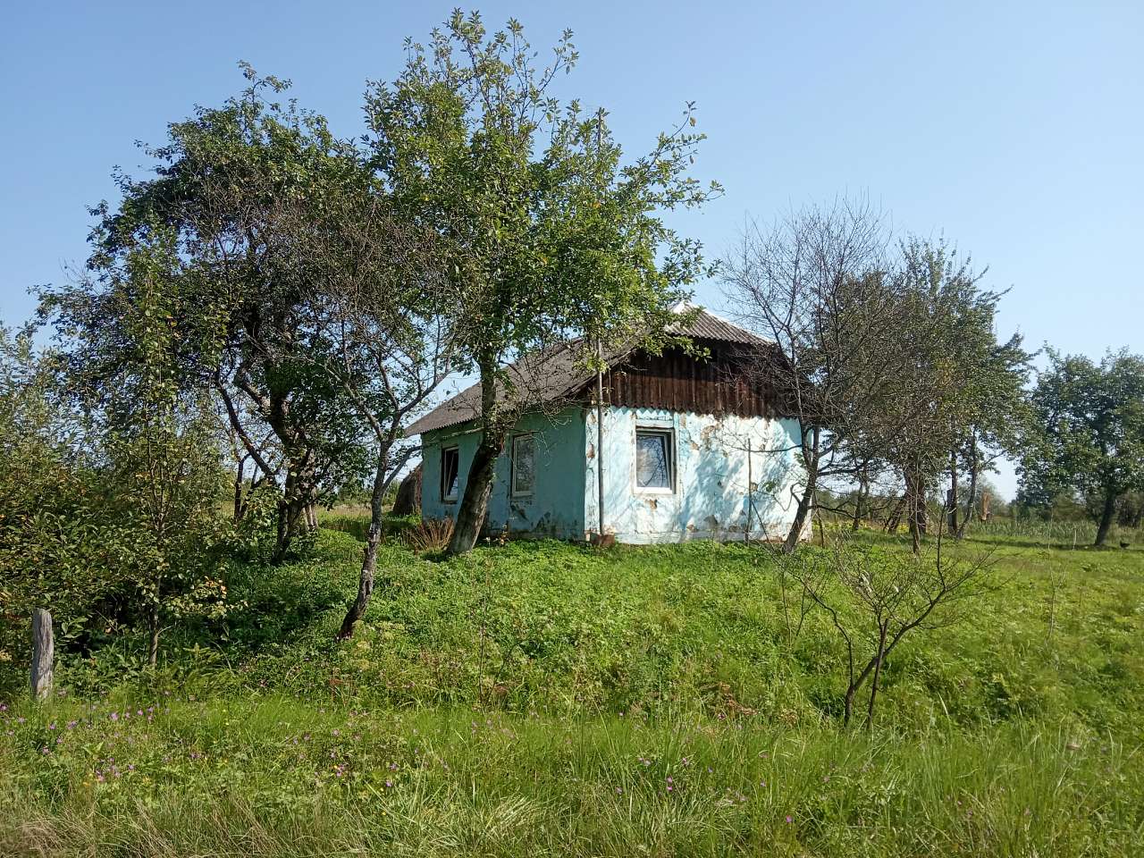 Краєвид - Пила