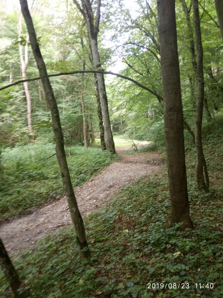 Ліс. Скелі - Велика Воля