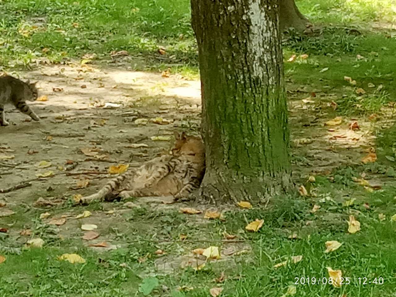 Зоосвіт - Моршин