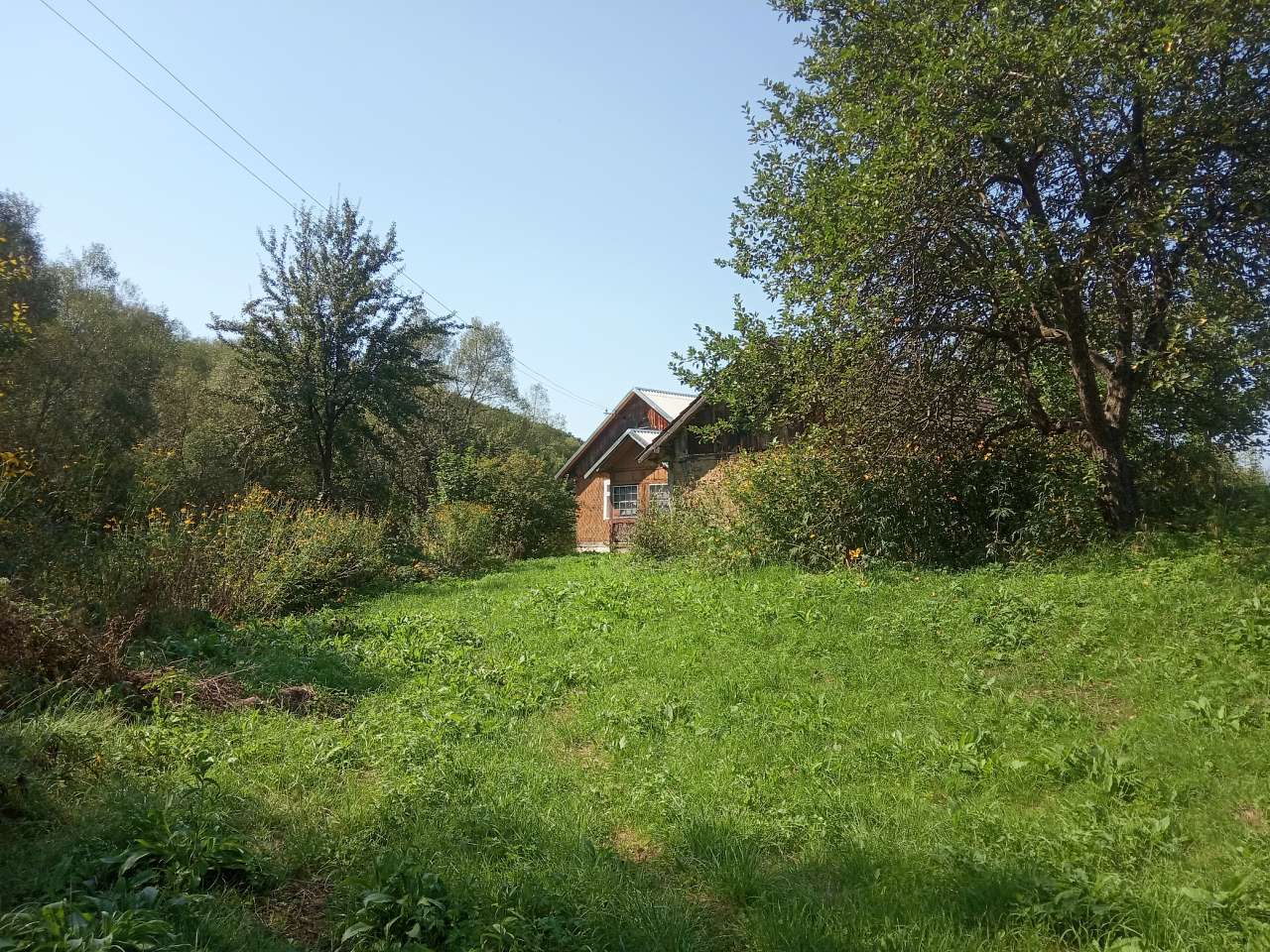 Краєвид - Пила