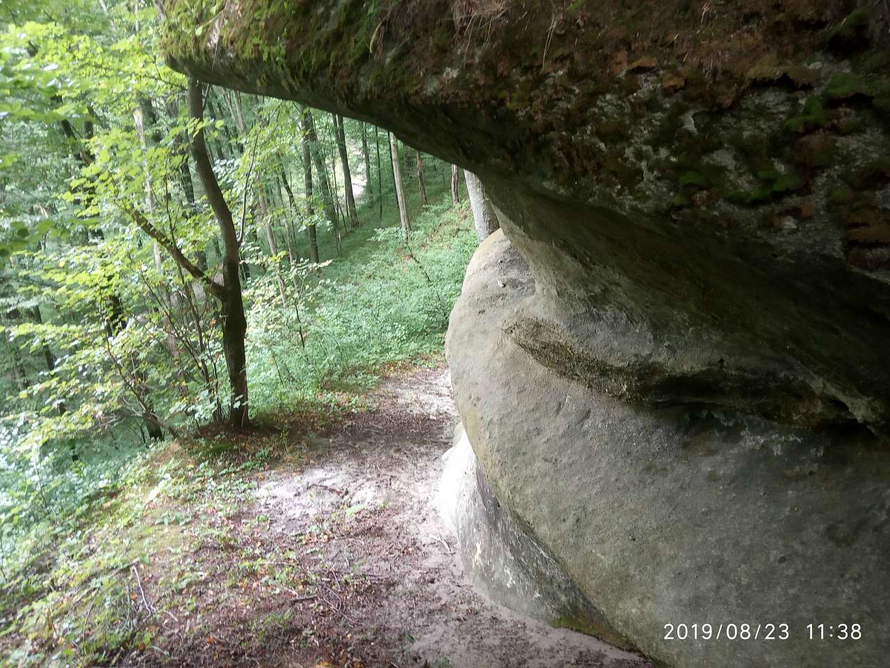 Ліс. Скелі - Велика Воля