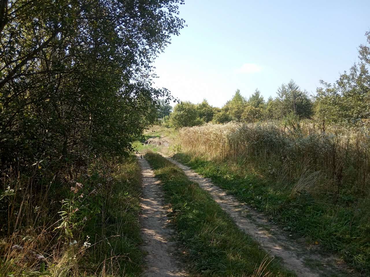 Краєвид - Пила