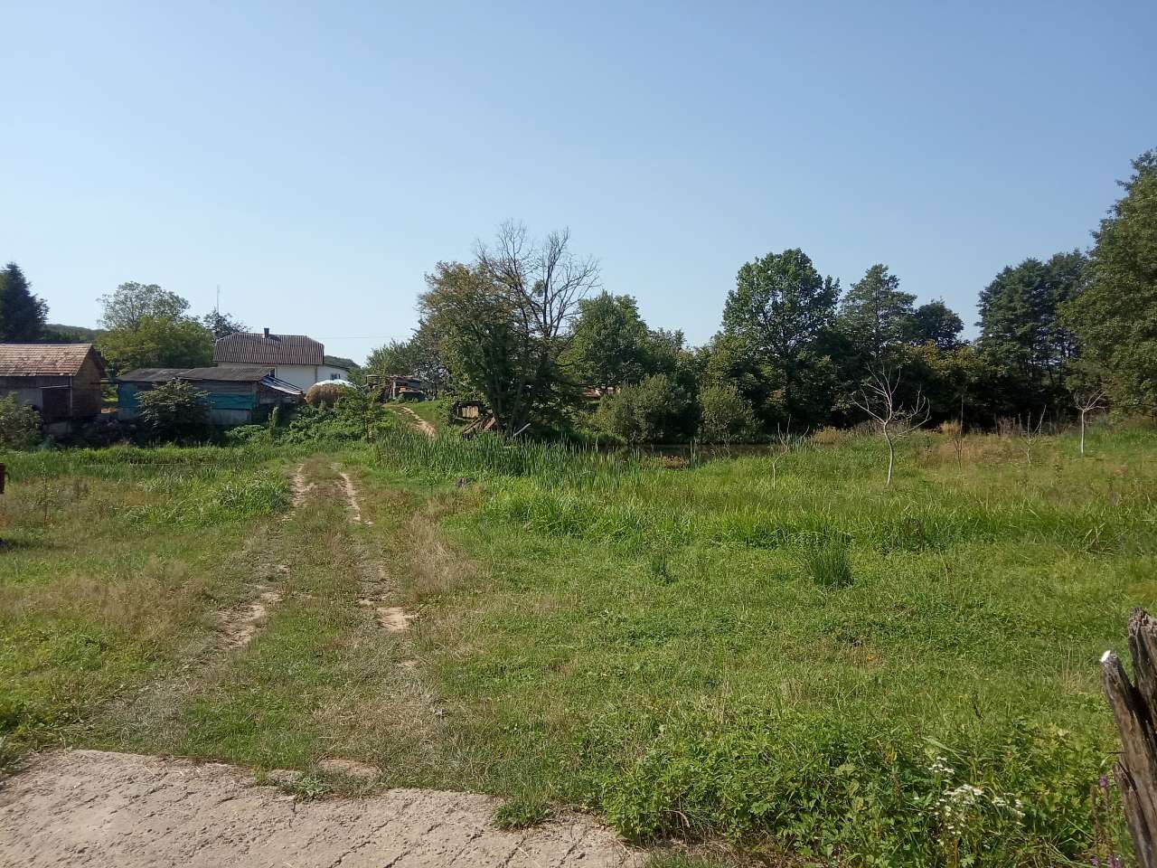Краєвид - Пила
