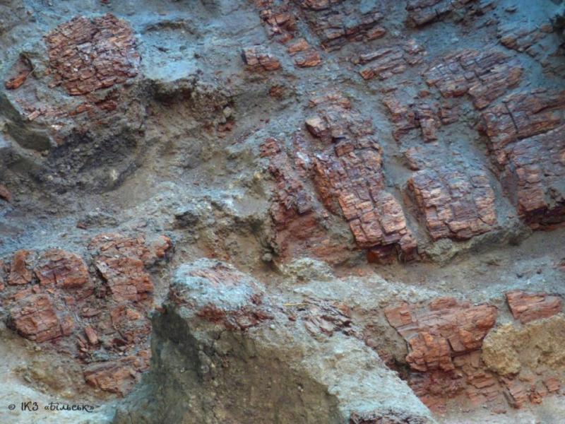 Археологи розкопали унікальні артефакти на По - Котельва