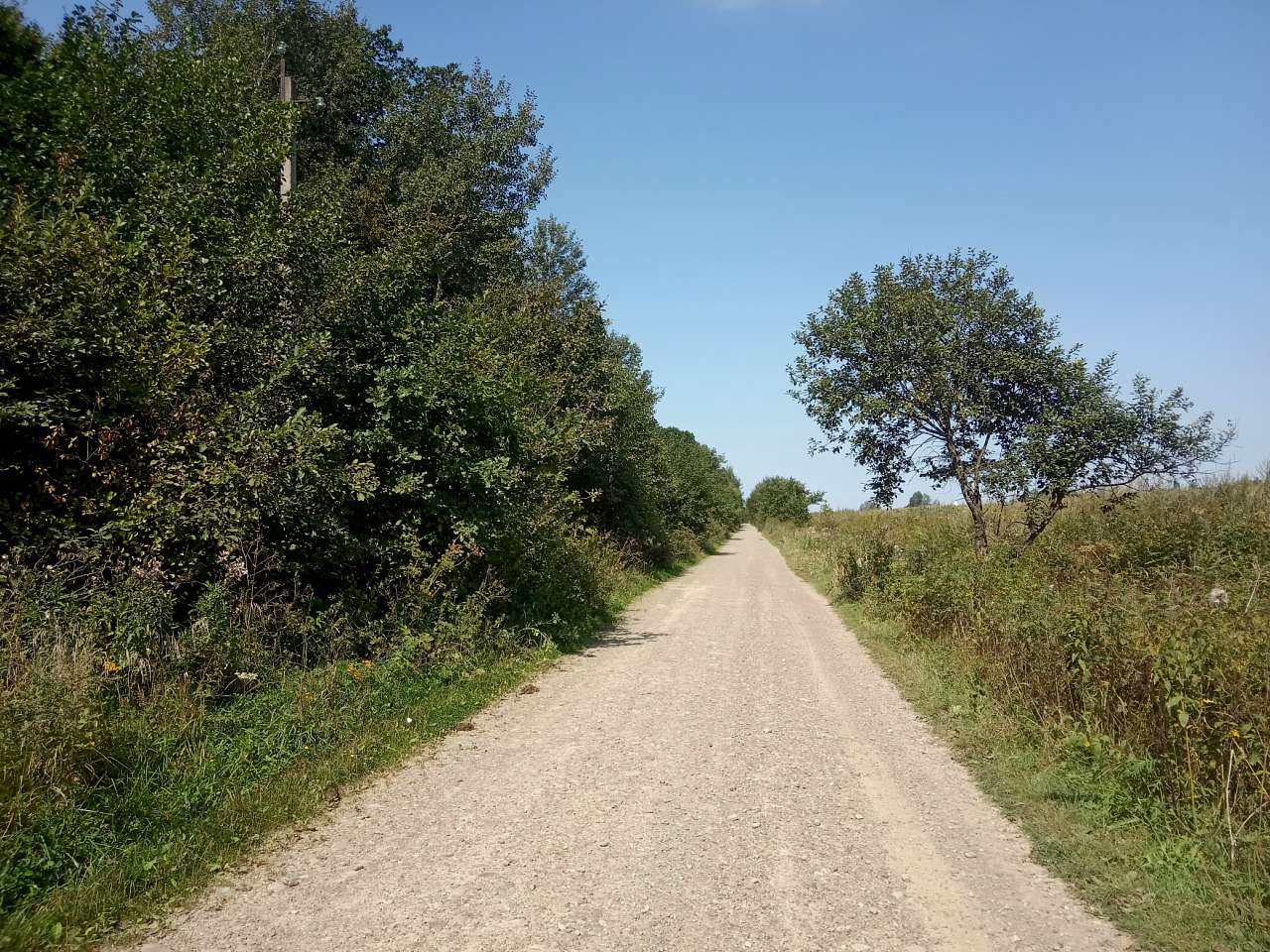 Краєвид - Пила