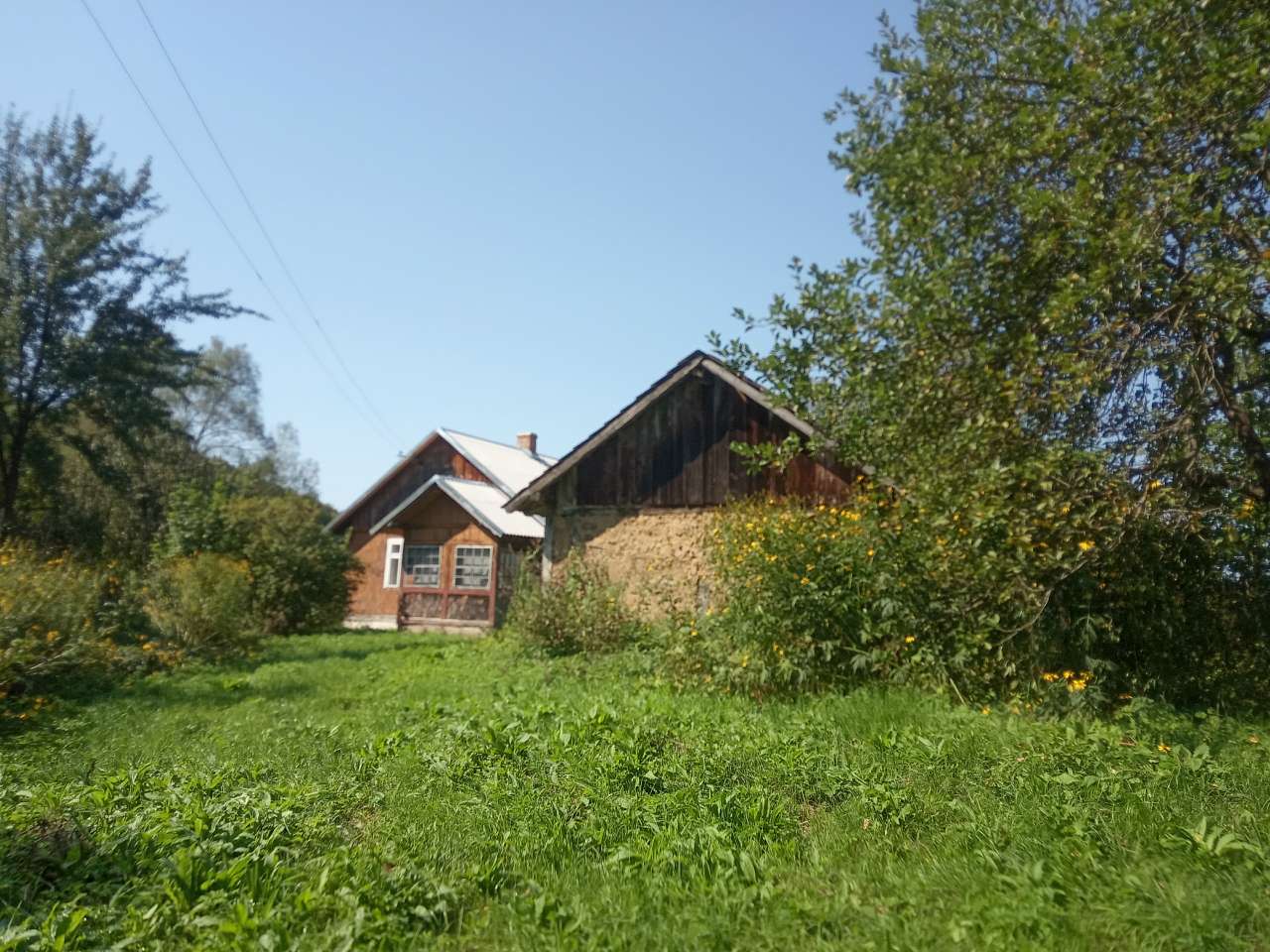 Краєвид - Пила