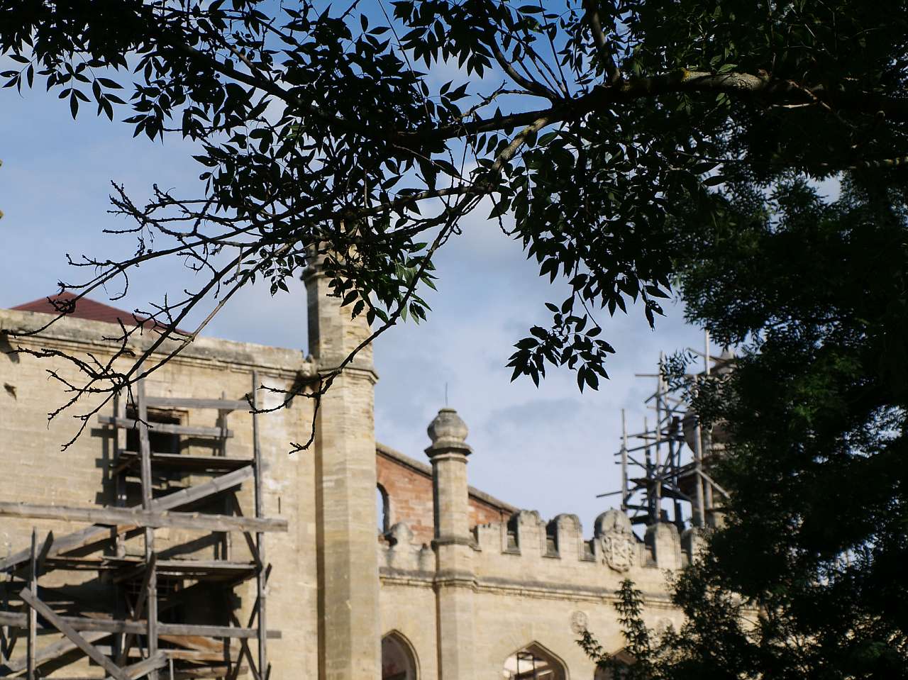 Палац Курісів - Петрівка