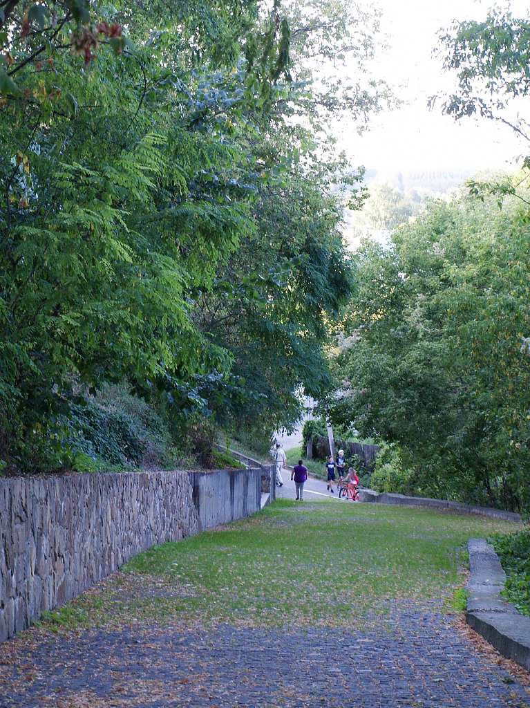 ЗАМКОВА ГОРА - Чигирин