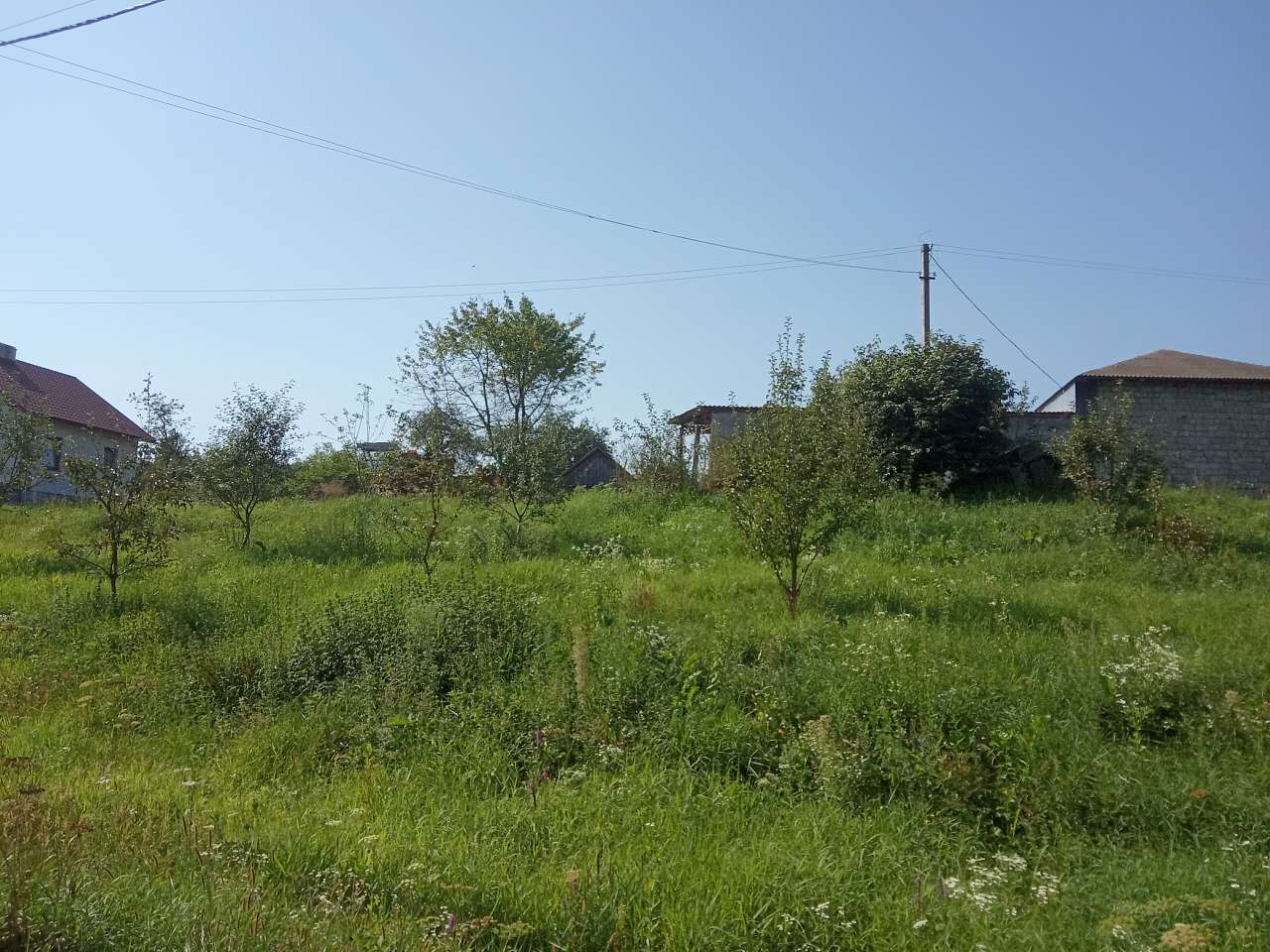 Краєвид - Пила