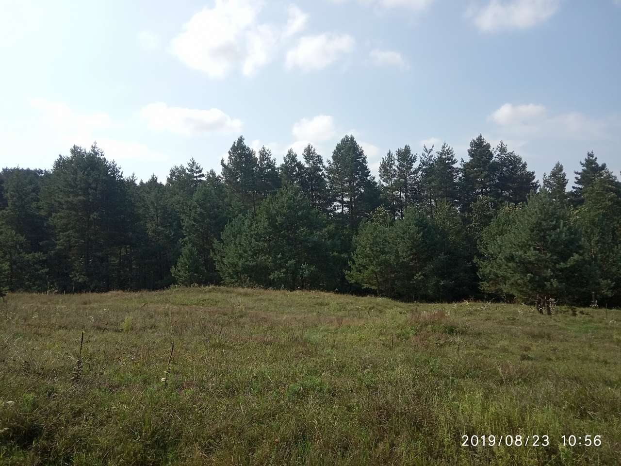 Краєвид - Тростянець