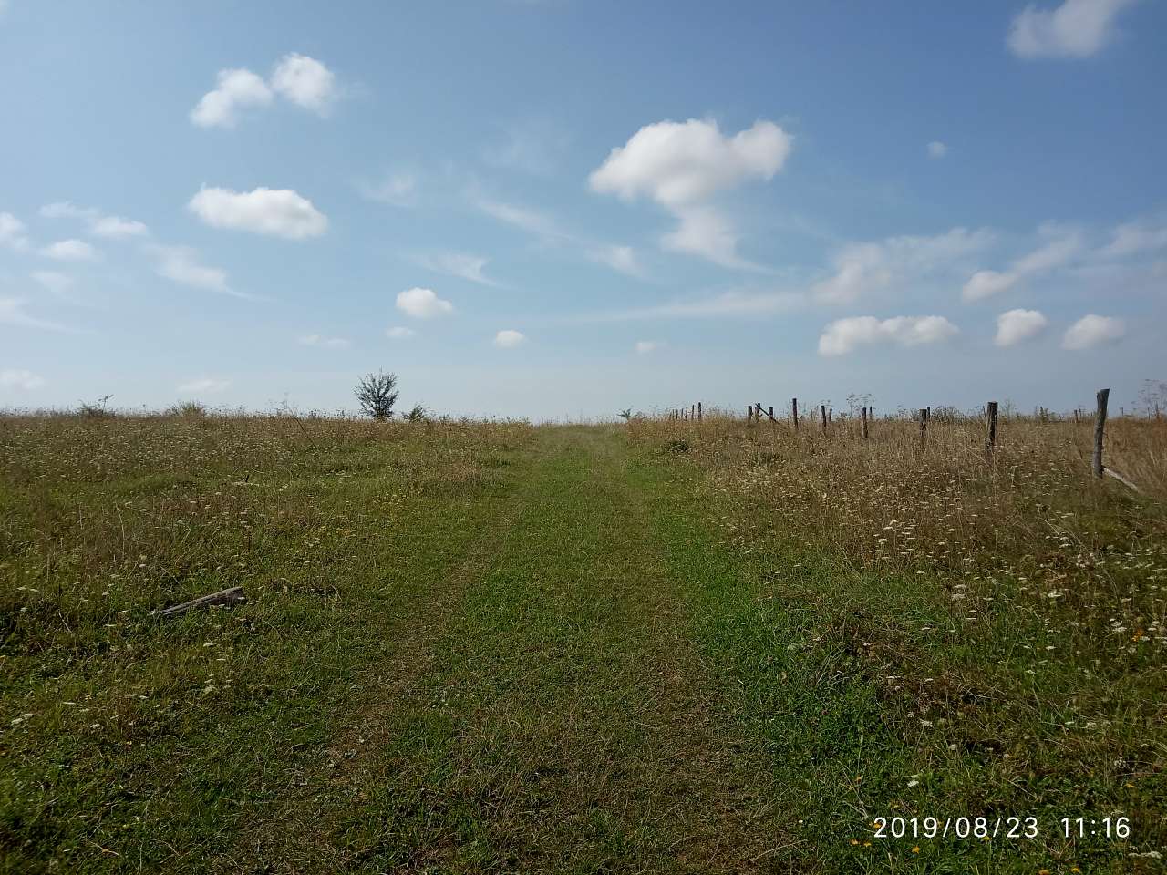 Краєвид - Велика Воля