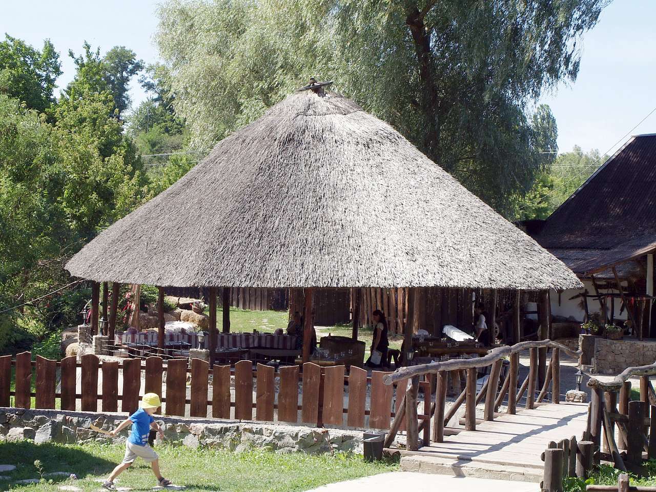 ДИКИЙ ХУТІР - Буда