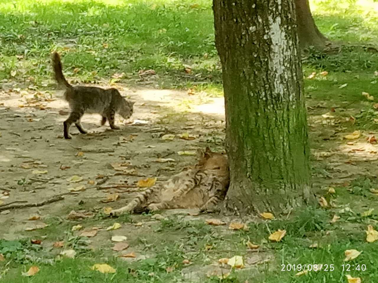 Зоосвіт - Моршин