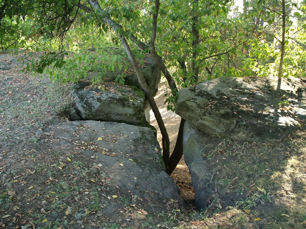 ЗАМКОВА ГОРА - Чигирин