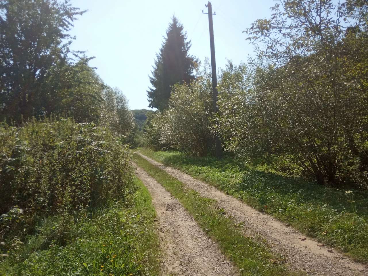 Краєвид - Пила
