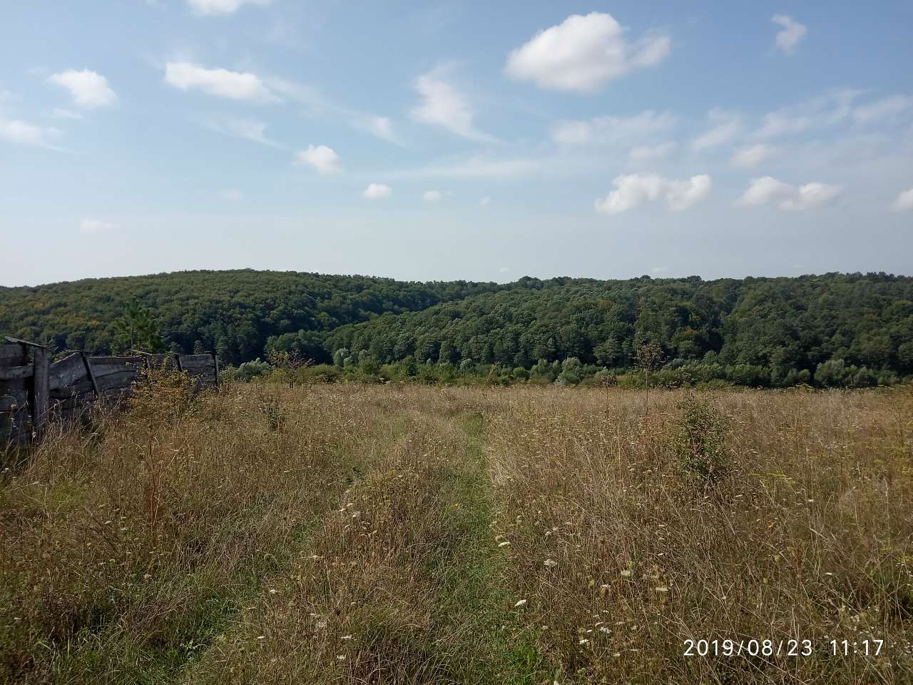 Краєвид - Великая Воля
