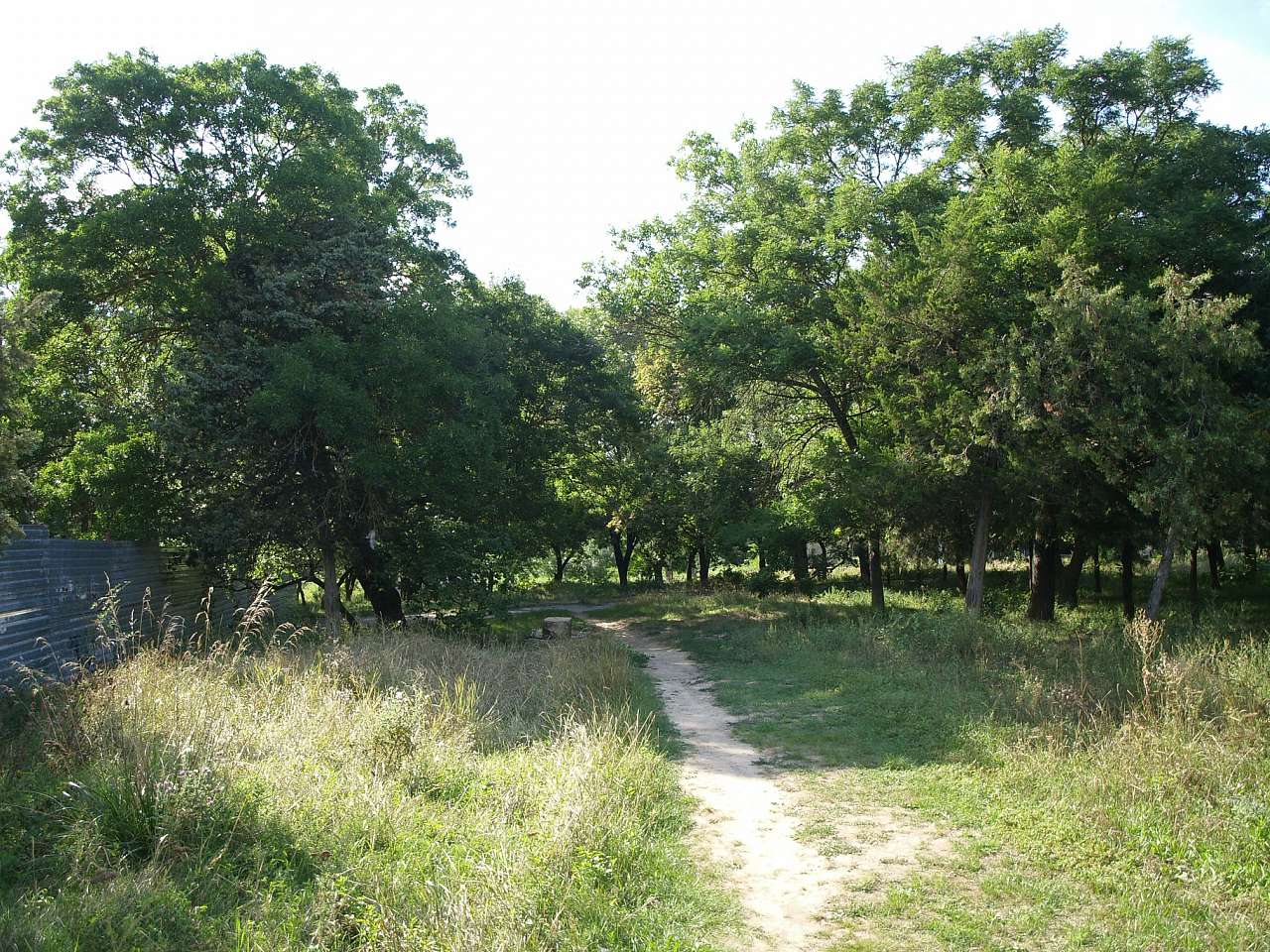 Палац Курісів - Петрівка