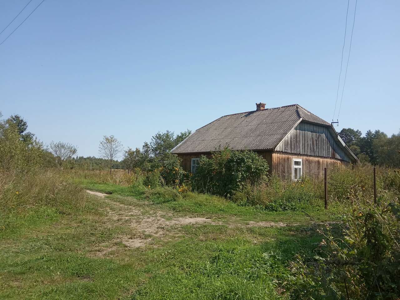 Краєвид - Пила