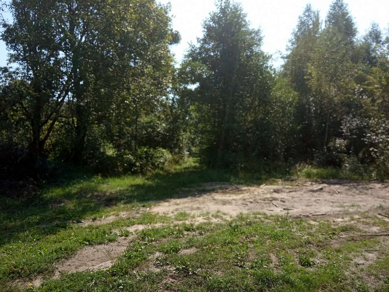 Краєвид - Пила